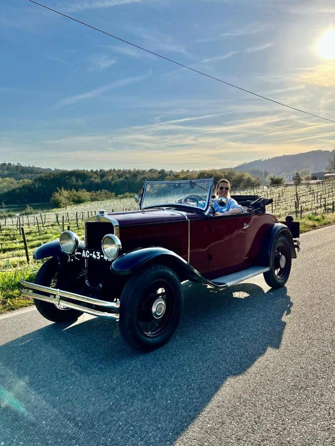 Refugios Do Rio Dao Villa Mangualde Eksteriør bilde